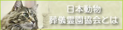 一般社団法人　日本動物葬儀霊園協会　日本動物葬儀霊園協会とは